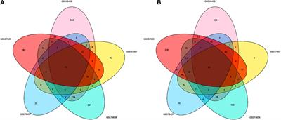 Identification of Hub Genes Associated With Immune Infiltration and Predict Prognosis in Hepatocellular Carcinoma via Bioinformatics Approaches